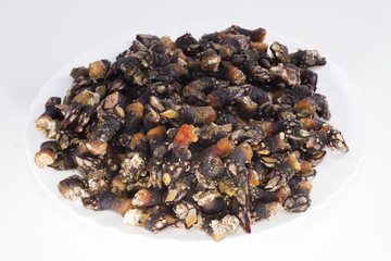 Percebes.