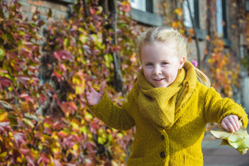 Autumn leaves as a background for a portrait for a little girl.