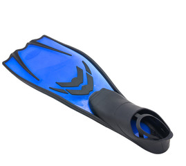 flippers isolated on white