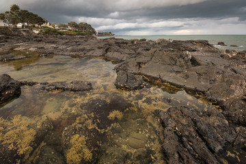 Obraz premium tide pools at Takapuna beach in New Zealand