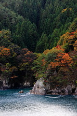 岩手県釜石市　リアス式海岸で見る紅葉