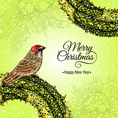 green Christmas card fir wreath with a bird, holly, inscription, vector illustration