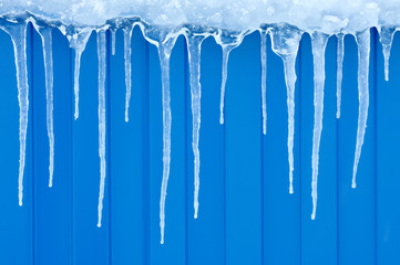 Naklejka na ściany i meble Natural icicles hanging on a blue background..Winter background.