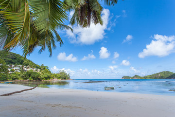 plage des Seychelles sous les cocotiers
