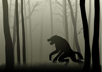 Werewolf In The Dark Woods - obrazy, fototapety, plakaty