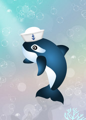 killer whale with sailor hat