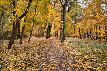 Jesień w parku © Mariusz Stoszewski
