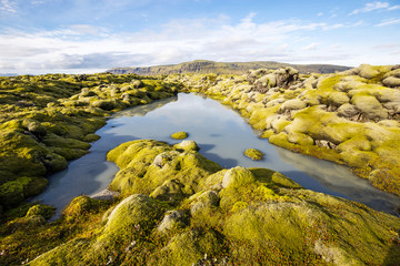 Icelandic landscape