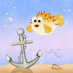 puffer fish © adrenalinapura