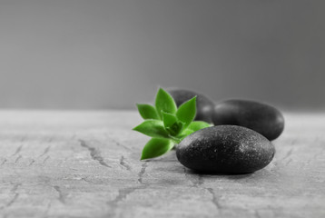 Pebbles with leaf on the table against grey background