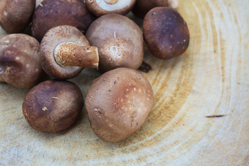 shiitake mushrooms on a wooden cutting board