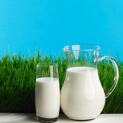Glass of milk and jar on meadow