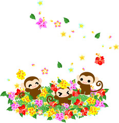 Pretty monkeys and flower garden of the beautiful hibiscus