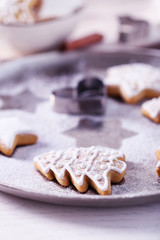 Beautiful Christmas cookies on oven-tray, close up