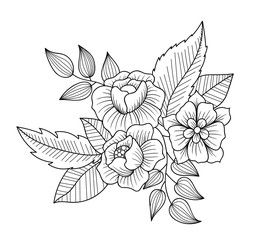Doodle art flowers. Zentangle style floral pattern. Hand-drawn herbal design elements.