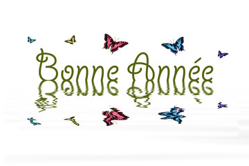 Butterfly for happy new year