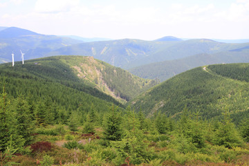 czech forest country (Jeseniky mountains)