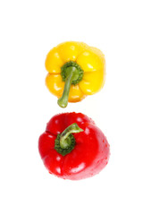 Colourful pepper