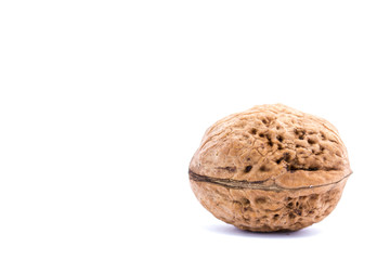 Walnuts isolated on white background.