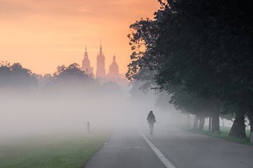 Fototapeta Tree alley along Blonia meadow in Krakow, Poland, with St Mary's church and Town Hall towers in the background, foggy morning with people's silhouettes obraz