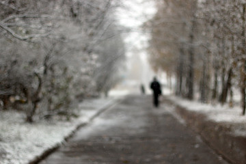 Fototapeta na wymiar snow park first pathway