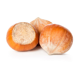 Hazelnuts isolated on white background