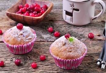 homemade muffins with fresh and dried cranberries