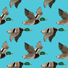 Vector seamless pattern with flying ducks