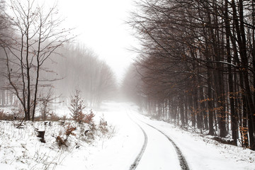 Moody winter road landscape with mist
