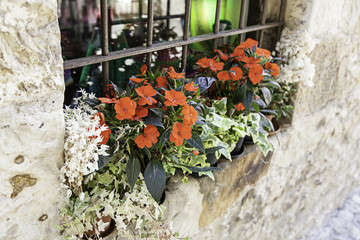 Pots with red flowers