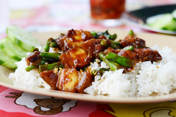 deep fried crispy pork top on rice