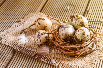 Obraz na płótnie Canvas Nest with quail eggs on the wooden background.