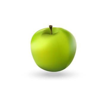 Illustration of green realistic apple. Green apple icon.