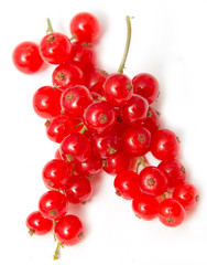 Ripe red currant on a white background