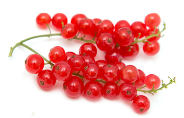Ripe red currant on a white background
