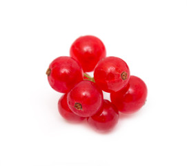 Ripe red currant on a white background