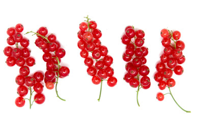 red currants on a white background