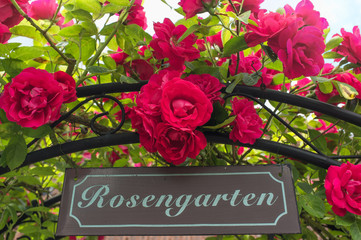 Blütenpracht am Eingang zum Rosengarten