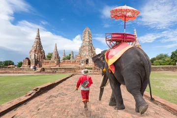 Foto op Plexiglas Elephant for Tourists walking tour at the ancient city © kinwun
