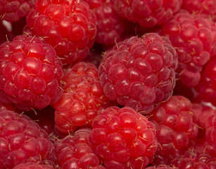 ripe raspberries as background