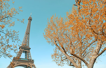 Fototapeta na wymiar Eiffel tower and golden autumnal trees