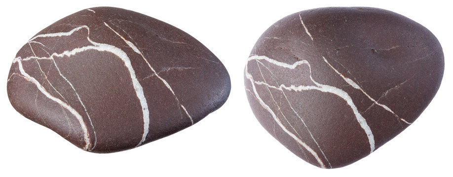 Stone brown with white veins, isolate on a white background in t