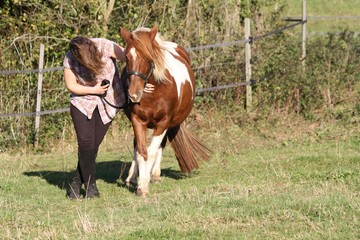 Ponette croisant les antérieurs