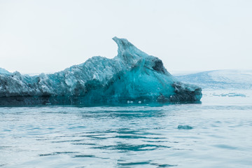 Horse head shape glacier. Floating iceberg with unique shape at Jokulsarlon lagoon in Iceland.