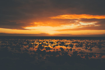 Obraz premium Sunset on beach in Iceland with volcanic rocks and beautiful clouds