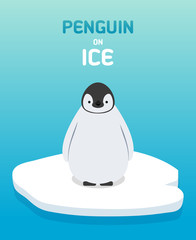 Cute little penguin on a bit of ice, Flat design vector illustra