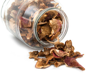 Dried mushrooms on white background