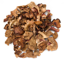 Dried mushrooms on white background