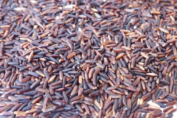 Closed up rice berry for healthy life style