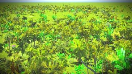 Lush vegetation in jungle